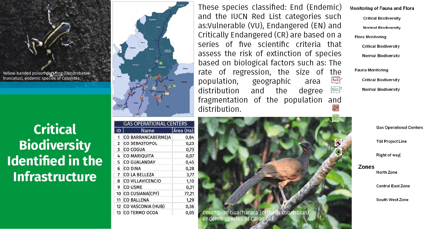 Critical Biodiversity Identified in the Infrastructure @2x-8.png