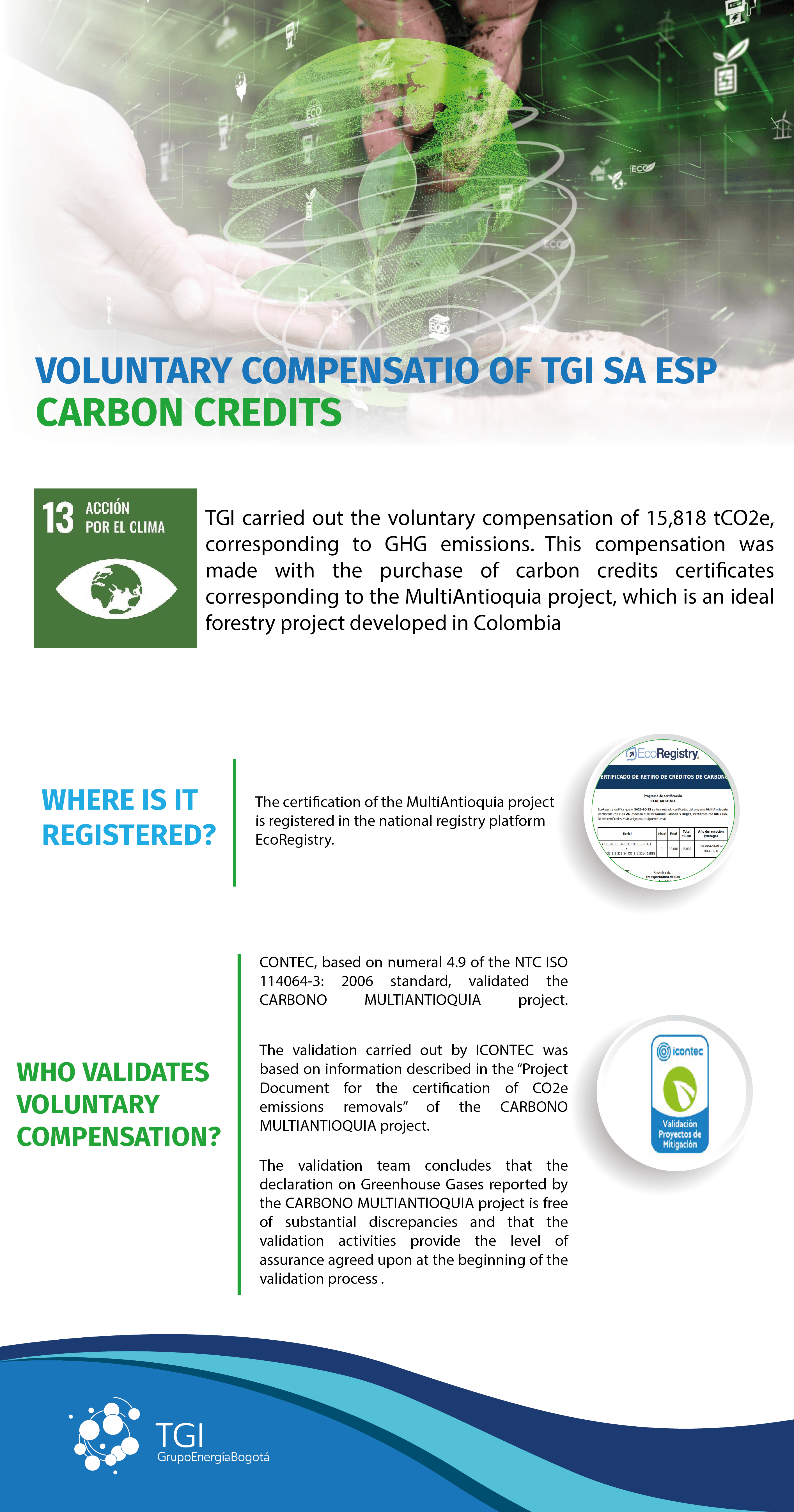 carbon-credits.png