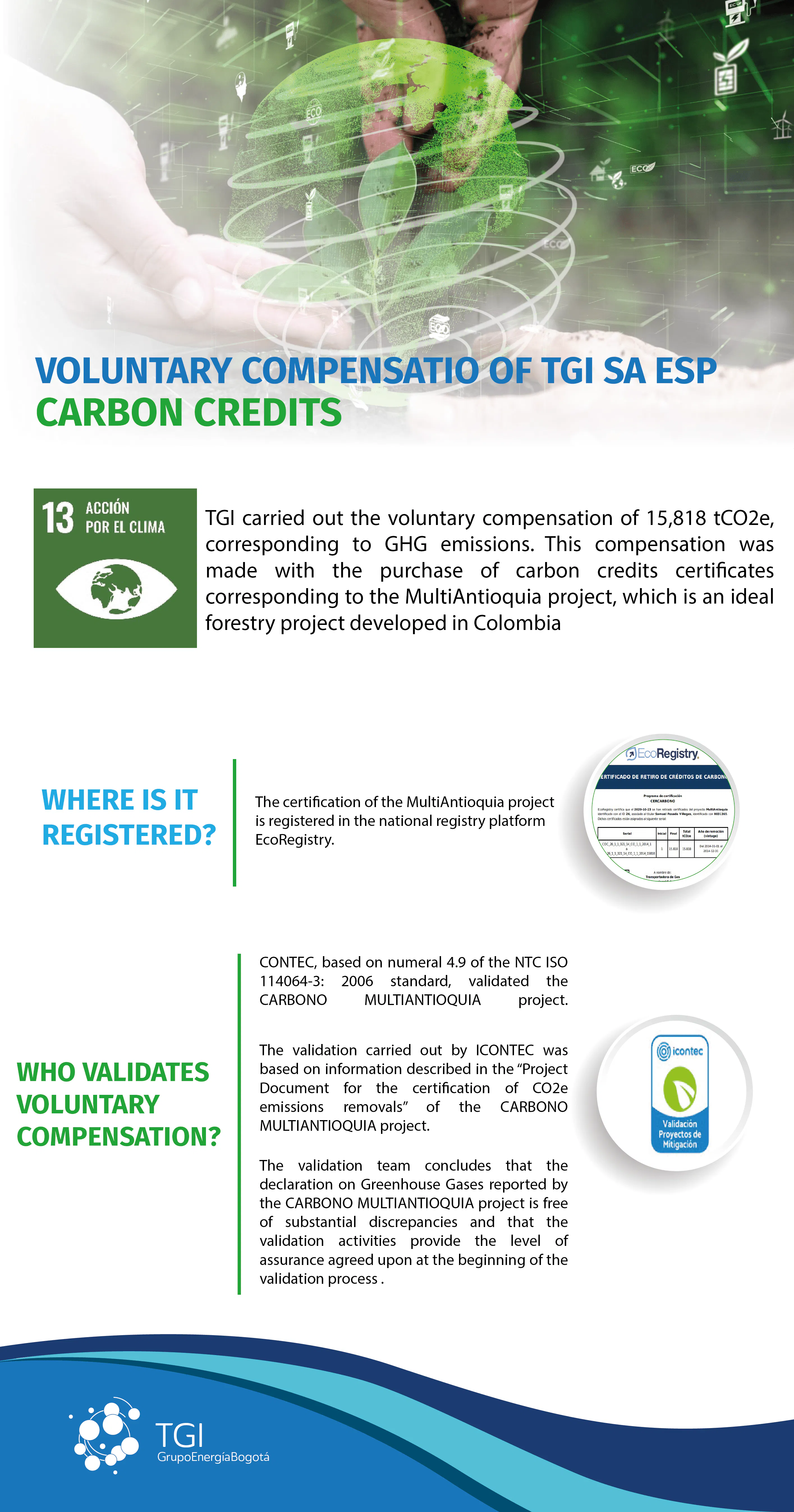 carbon credits