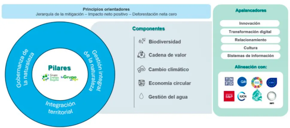 Infografia Nuestra Estrategia