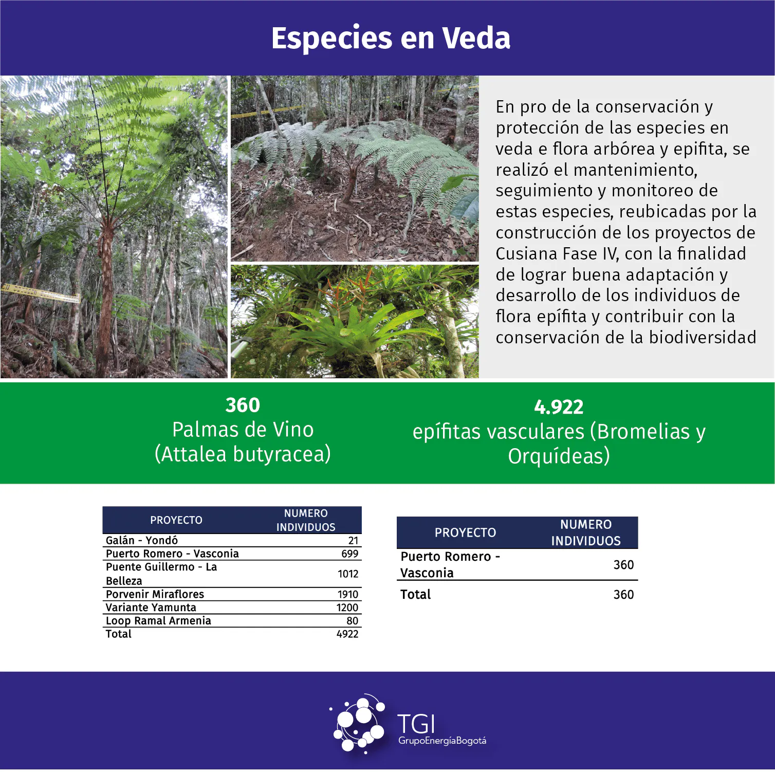 veda@2x 8