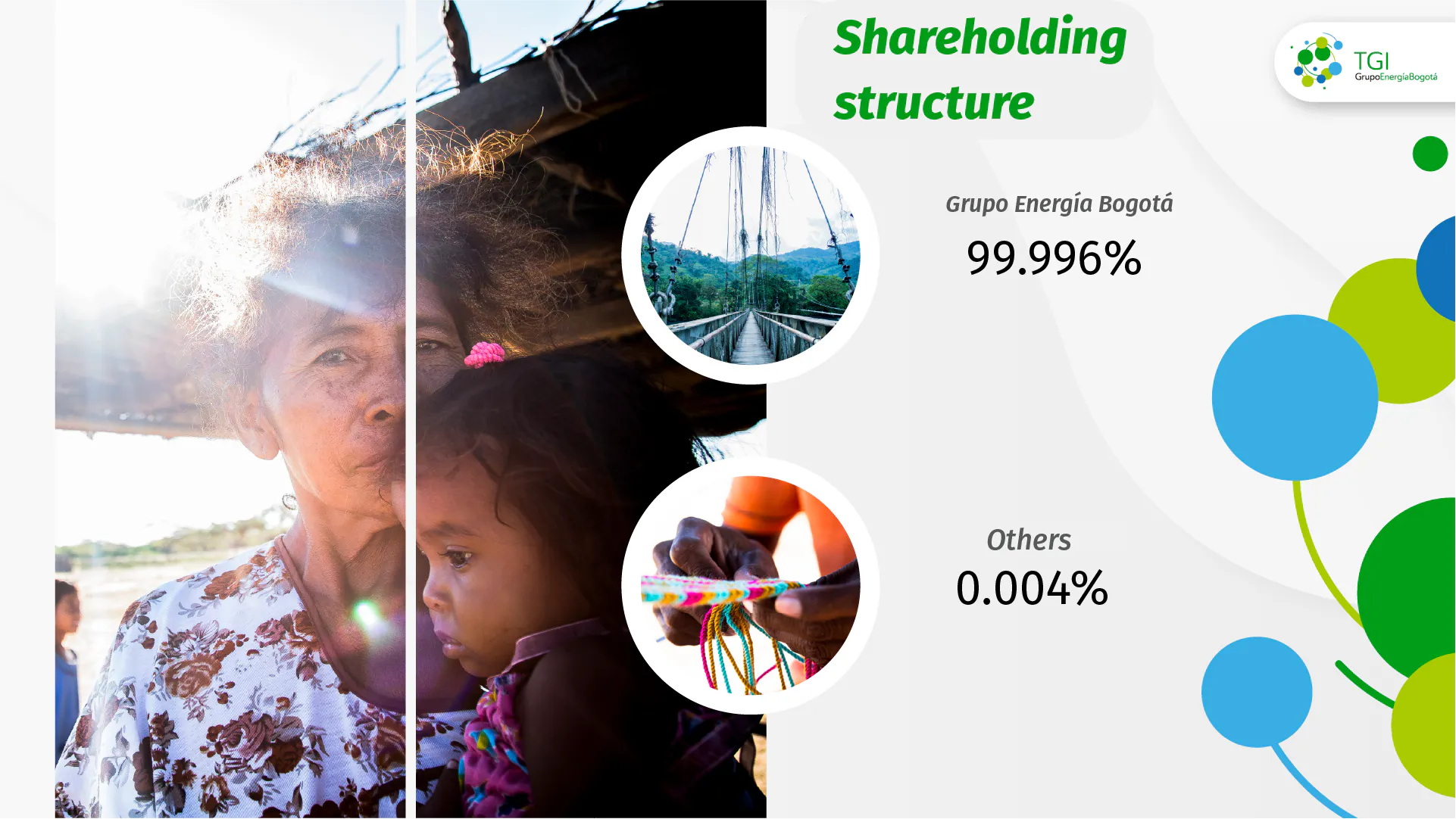 Shareholding