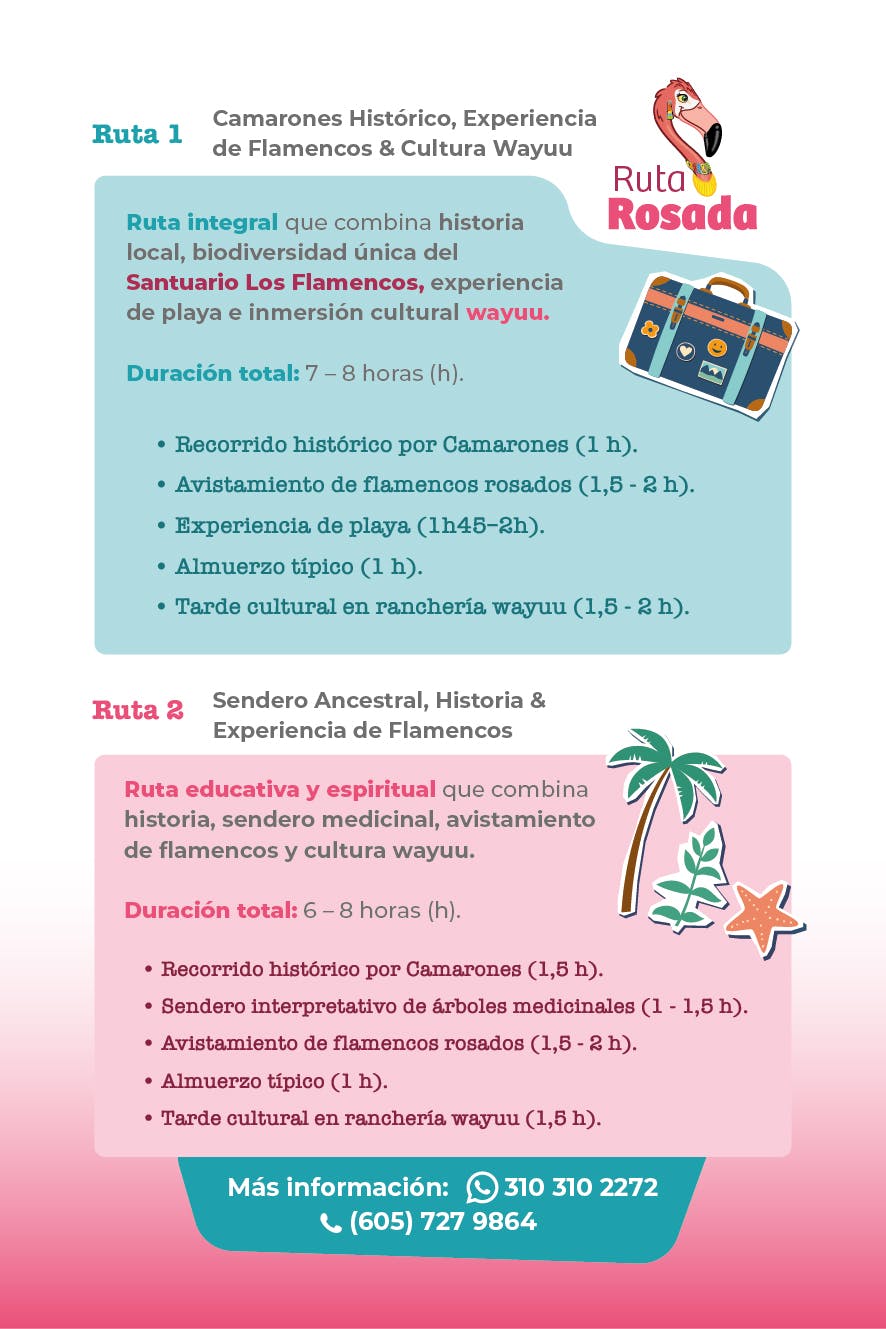 a9d6e6b15cd5-Volante-Ruta-Rosada-14x21-5cm-02