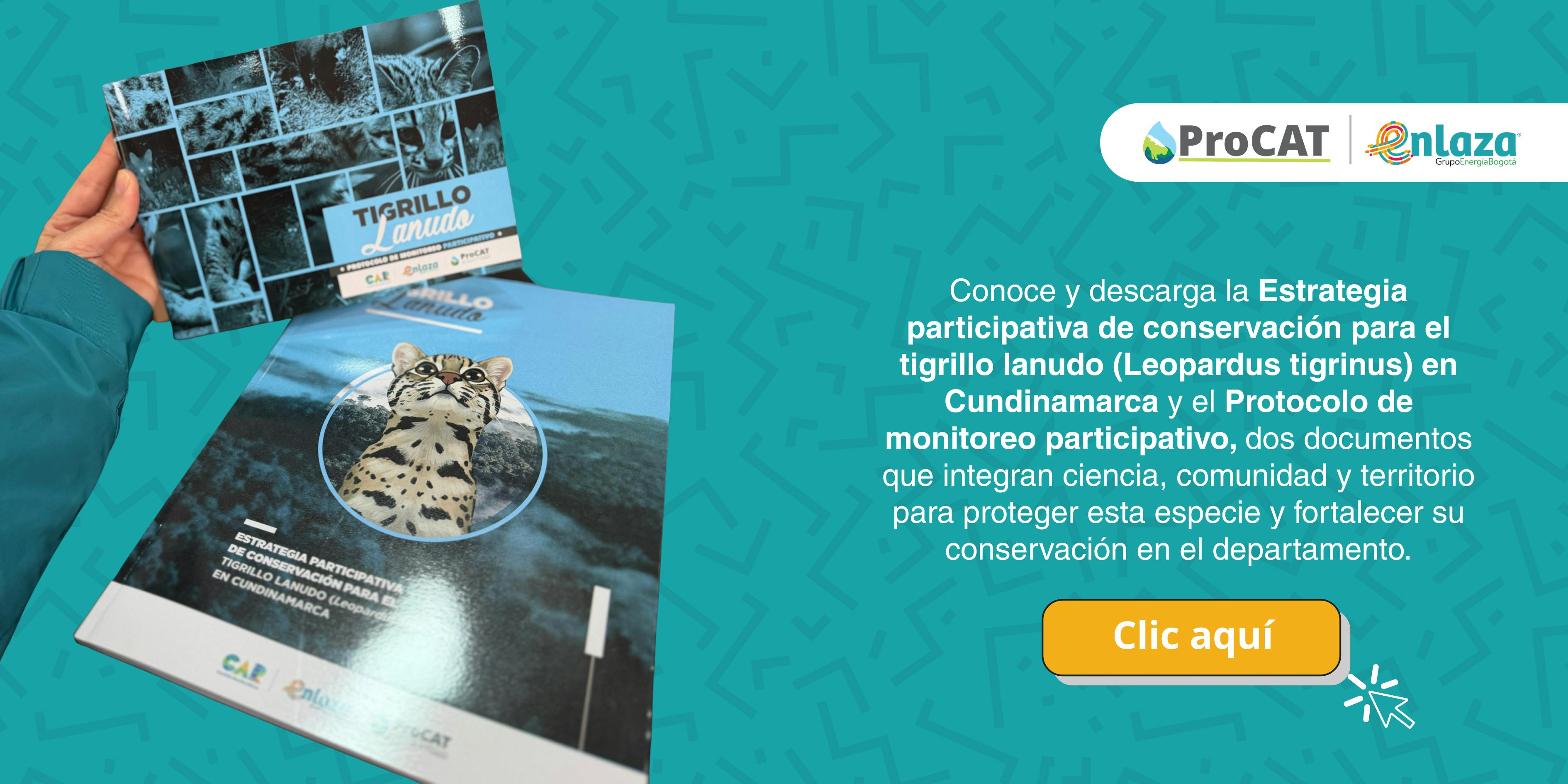 992fdd683314-banner-click-estrategia-tigrillo