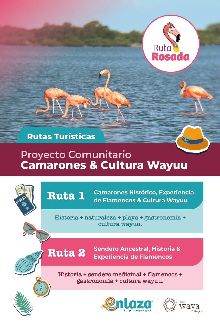 7a3063141b54-Volante-Ruta-Rosada-14x21-5cm-01