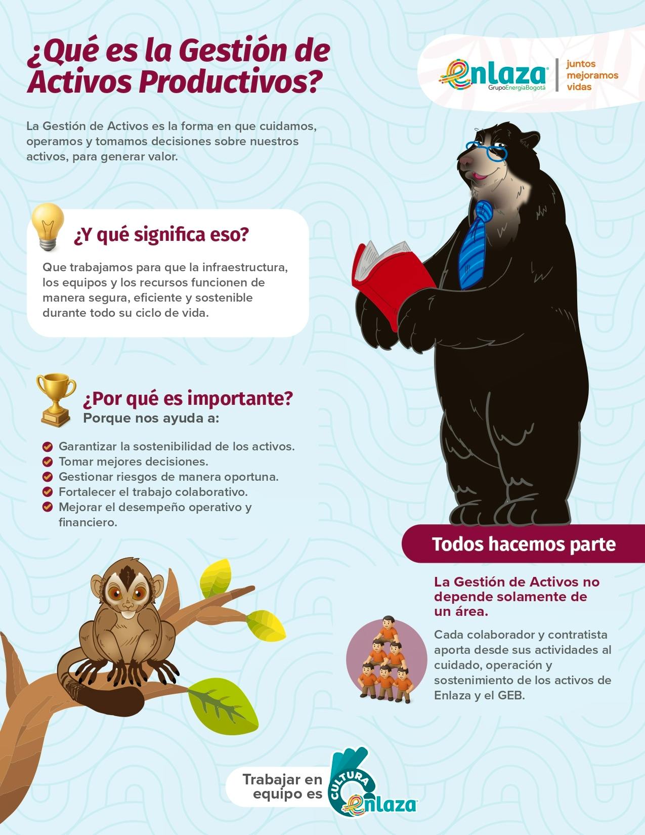 baja 21,59 x27,94 cm2026_Infografias Gestión de Activos_page-0001.jpg