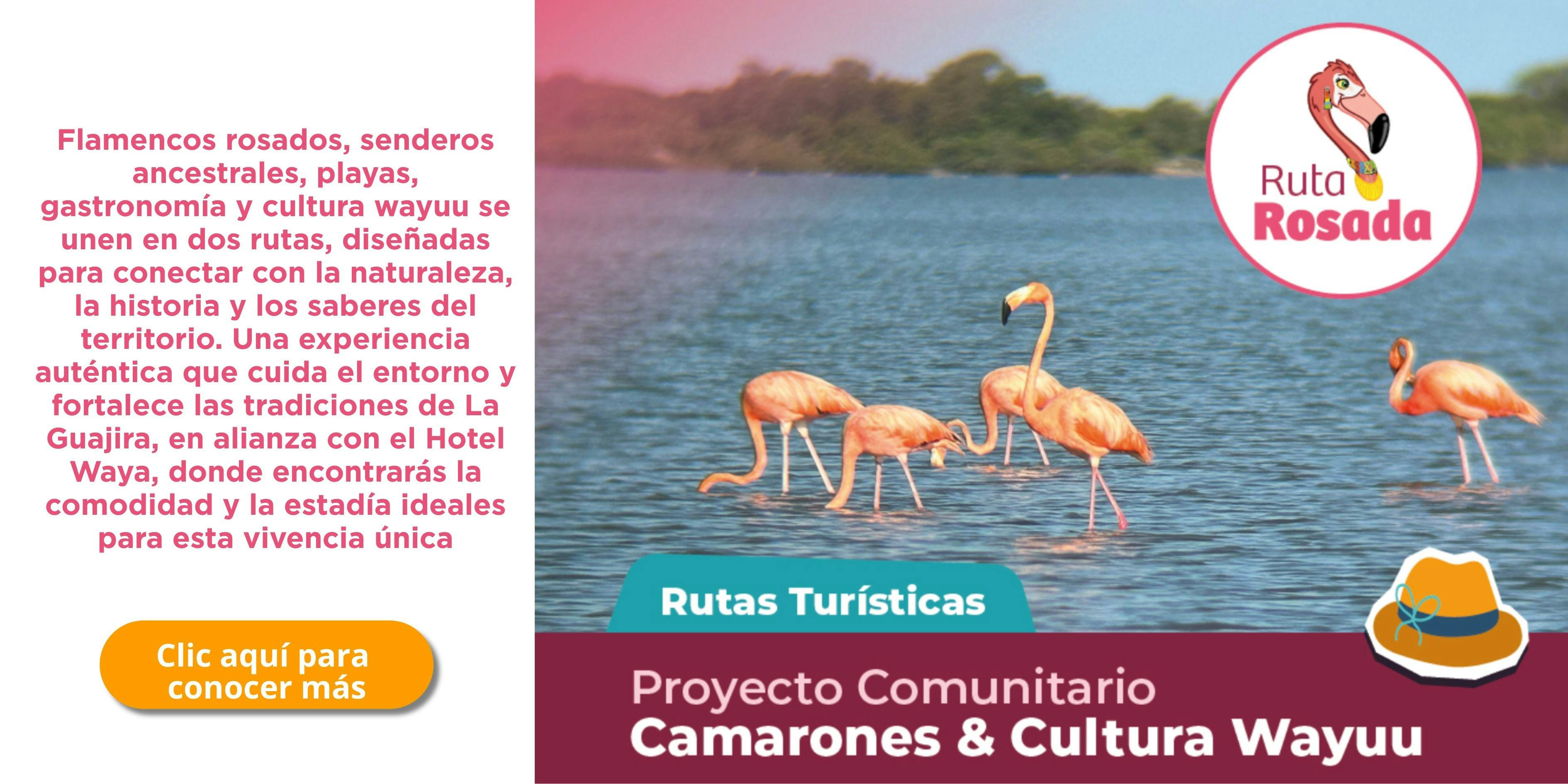 61817ede8770-Ti-tulo-primario