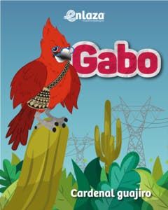 35cf9f50f331-CARRUSEL-MASCOTAS-02