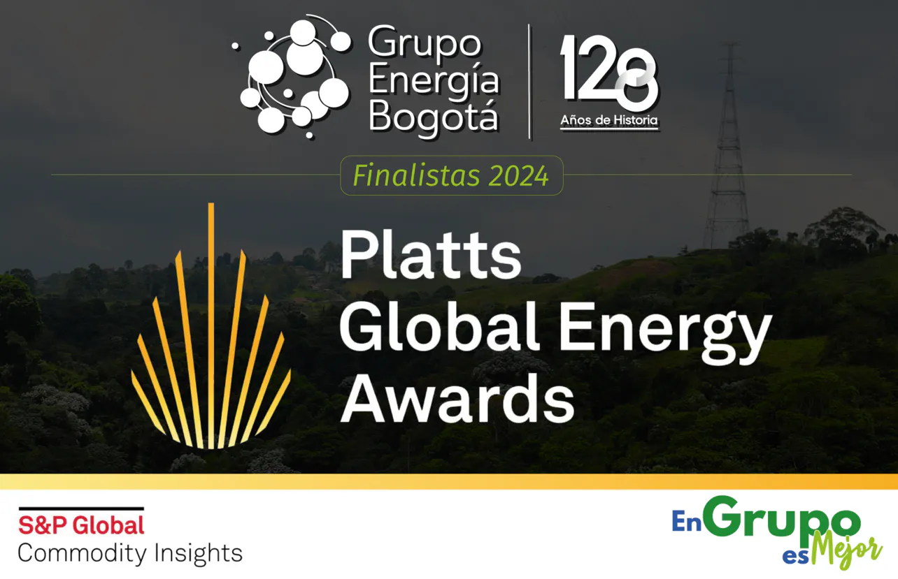 Platts Global Energy Awards 2024   GEB