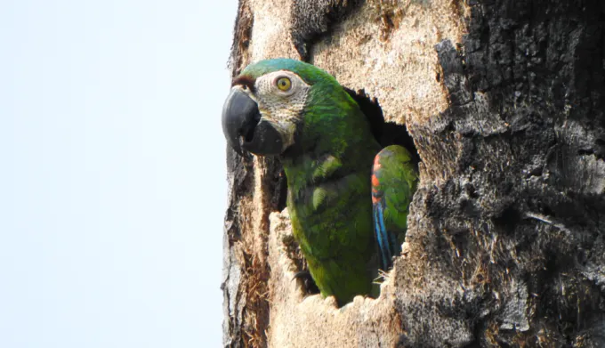 TGI estudio de manejo ambiental EC palestina