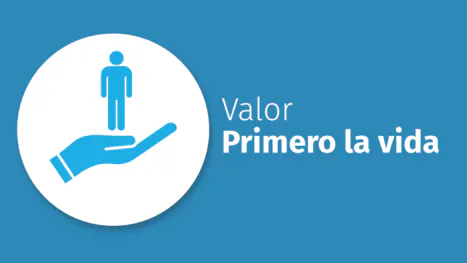 valor vida