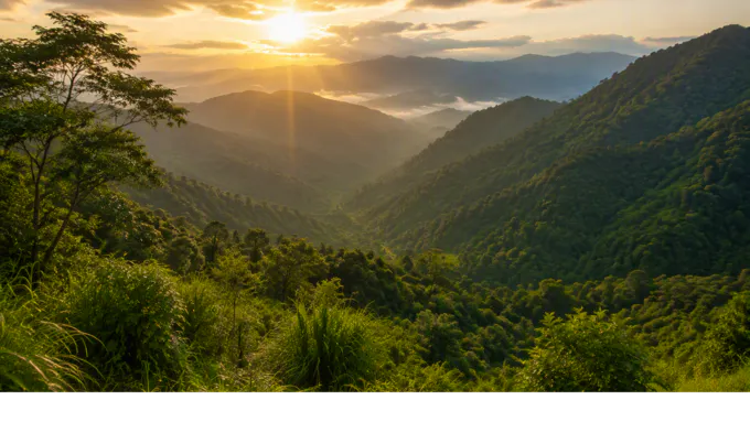 Foto Sabanalarga