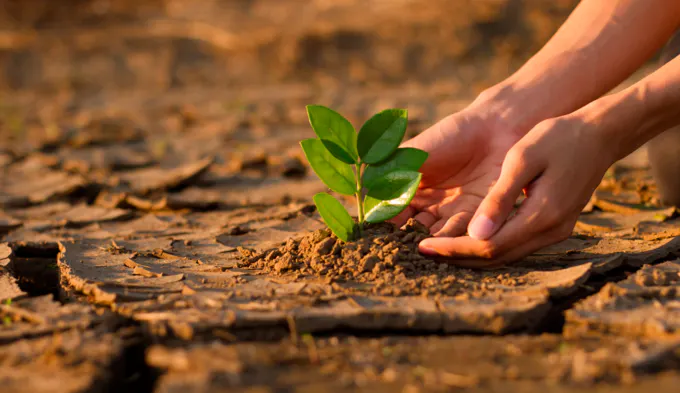 cambio climático