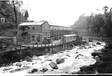 ano 1971