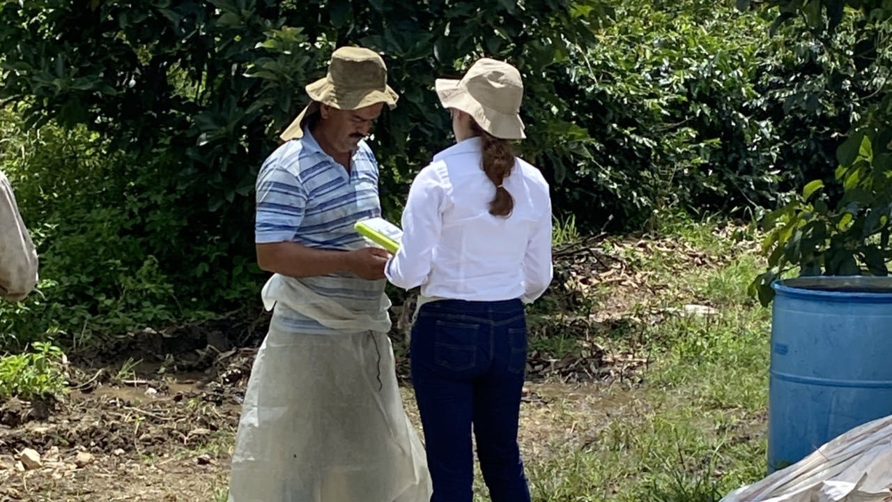 RF Predio LasTravesias