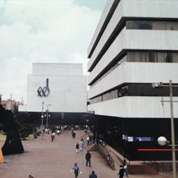 ano 1982