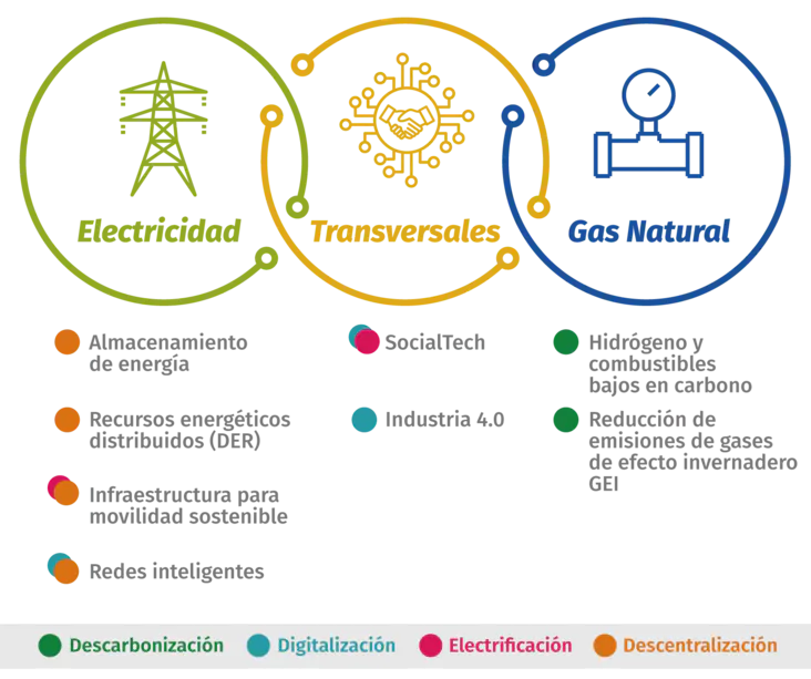 Focos de innovación 