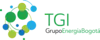 Logo TGI