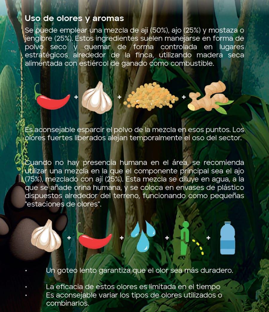 97a8525e5e8b-Ingredientes
