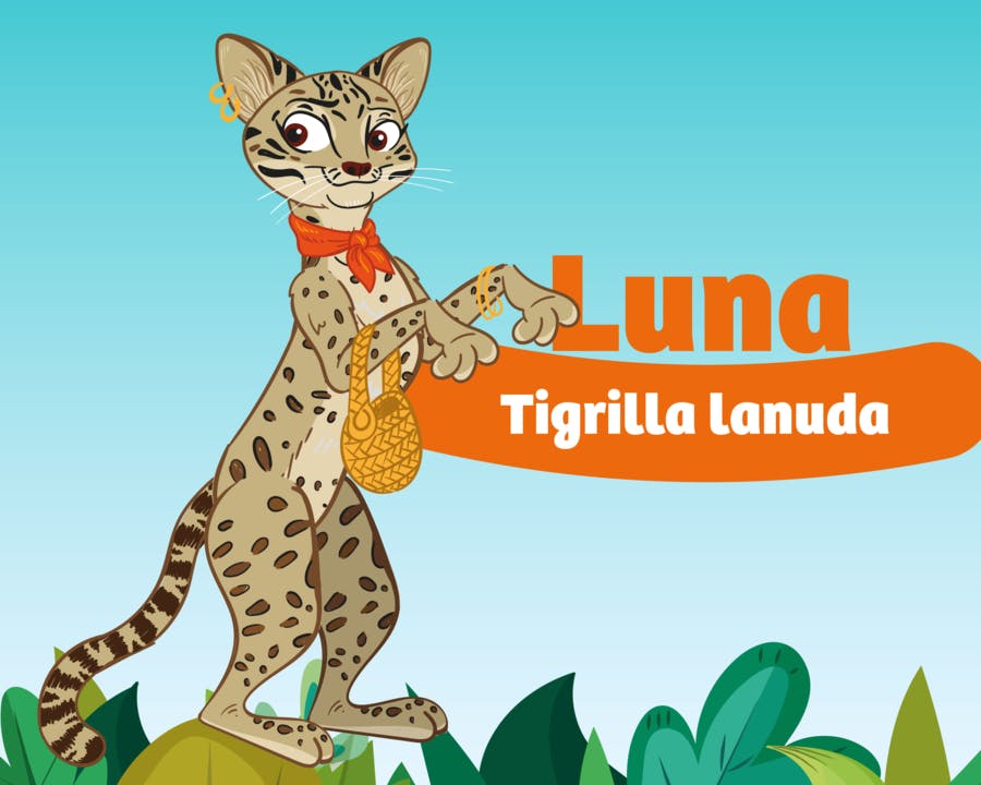 Luna Tigrilla lanuda