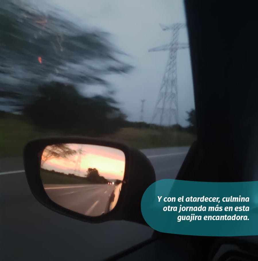 Entrañas de colectora